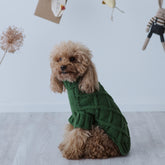 Maglioncino "Cozy Green" Punto Rombi - fatto a mano in Lana Merino - per cani di piccola taglia
